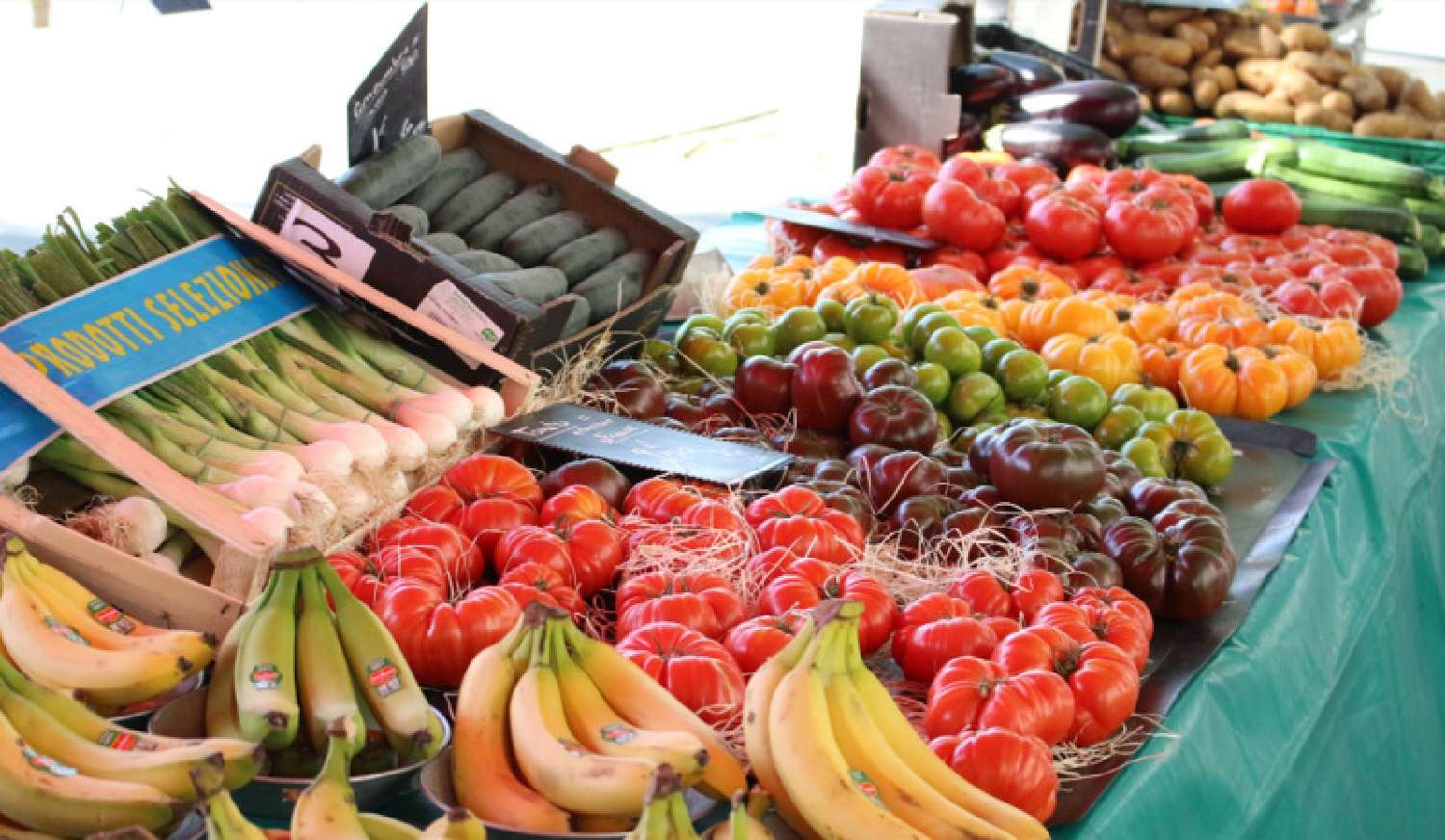  te koop appartement Saint-Didier-au-Mont-d'Or Rhône 4