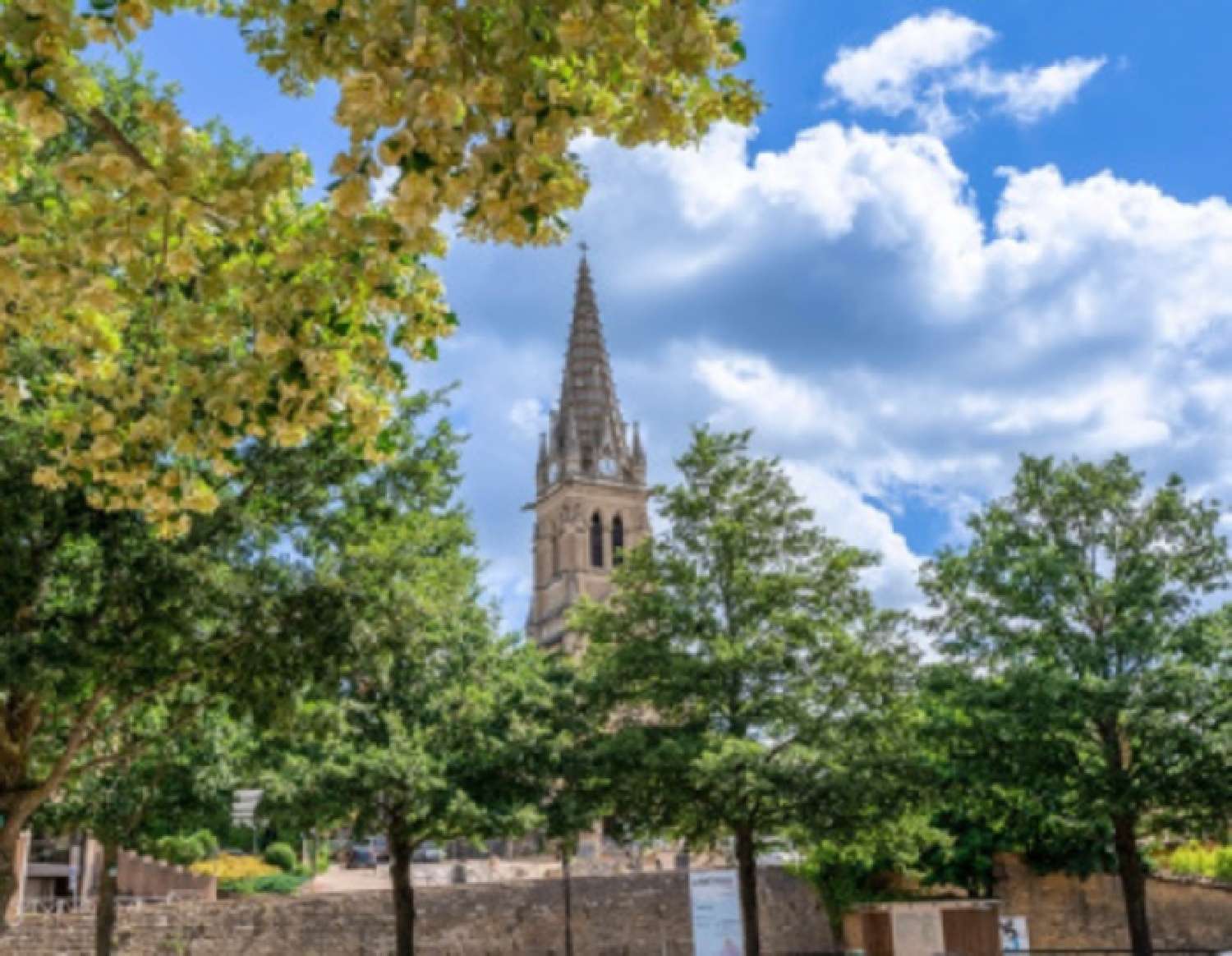  te koop appartement Saint-Didier-au-Mont-d'Or Rhône 6