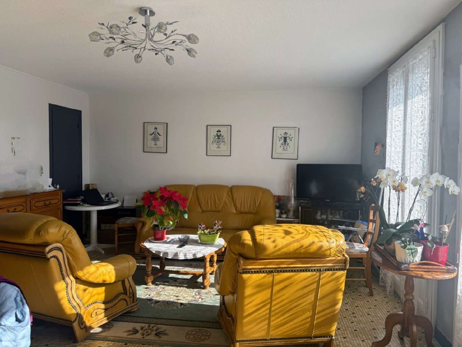  te koop appartement Saint-Martin-le-Vinoux Isère 1
