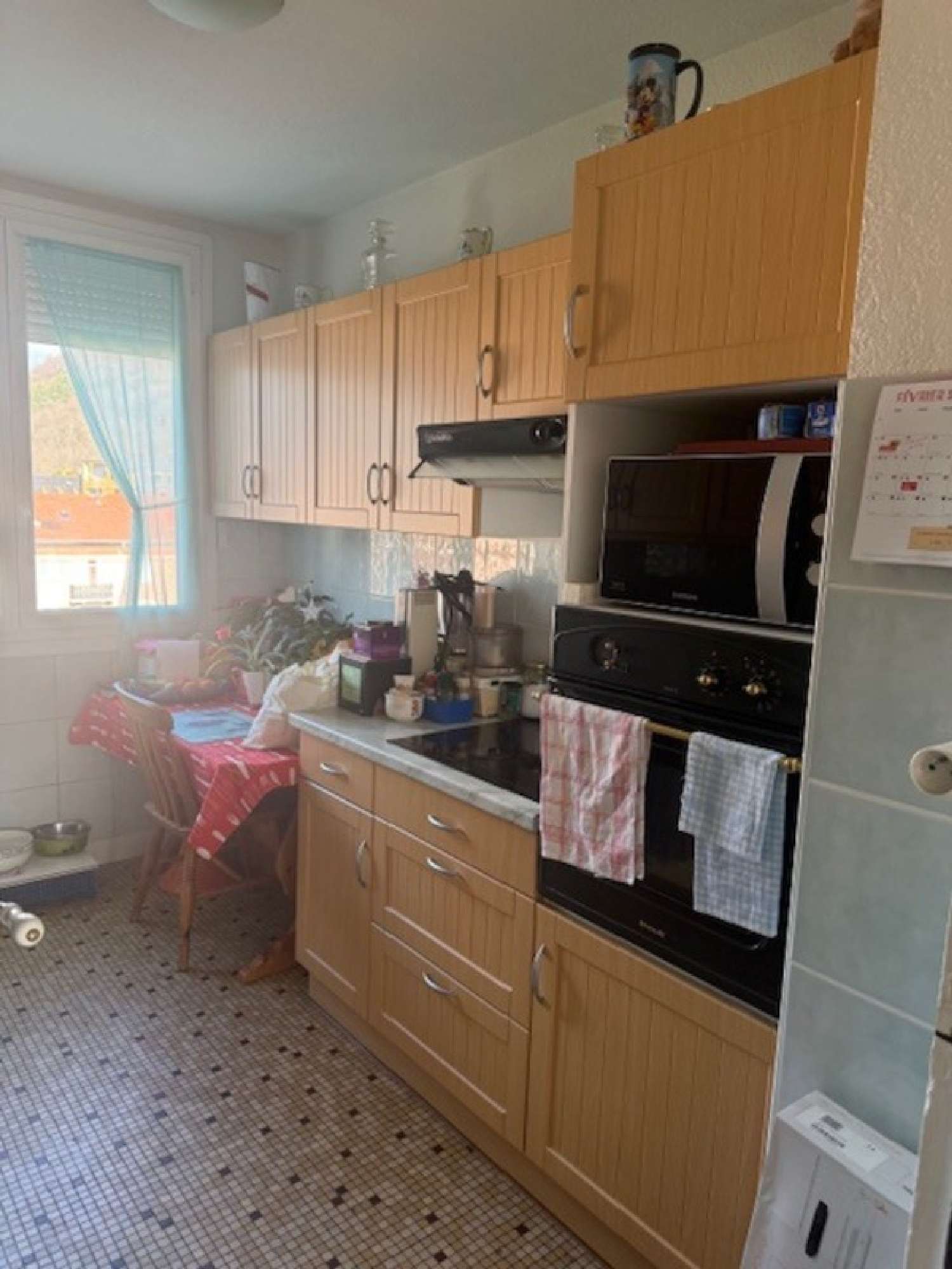  te koop appartement Saint-Martin-le-Vinoux Isère 4