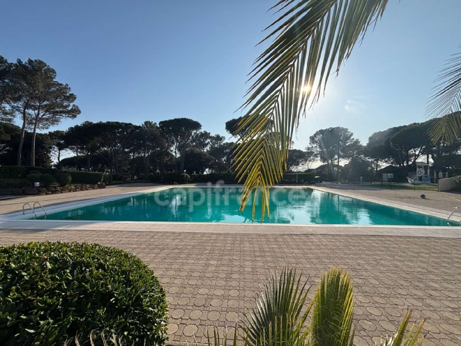 for sale apartment Saint-Raphaël Var 1