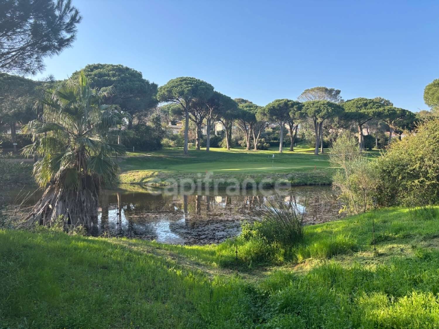 for sale apartment Saint-Raphaël Var 5