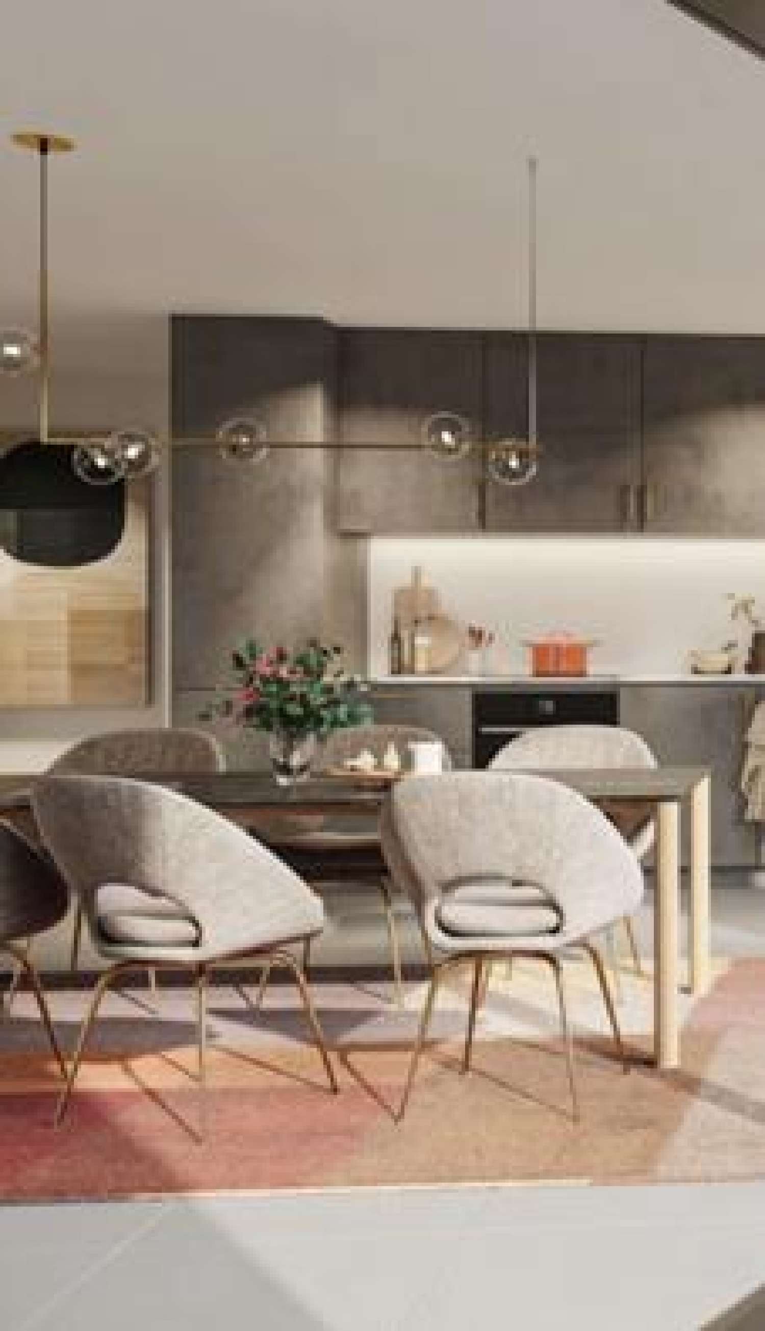  te koop appartement Sciez Haute-Savoie 2