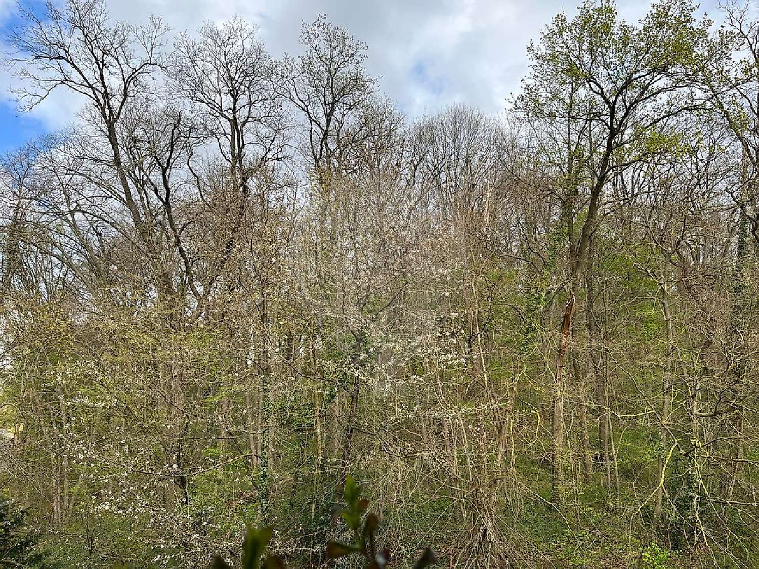 à vendre appartement Senlis Oise 8