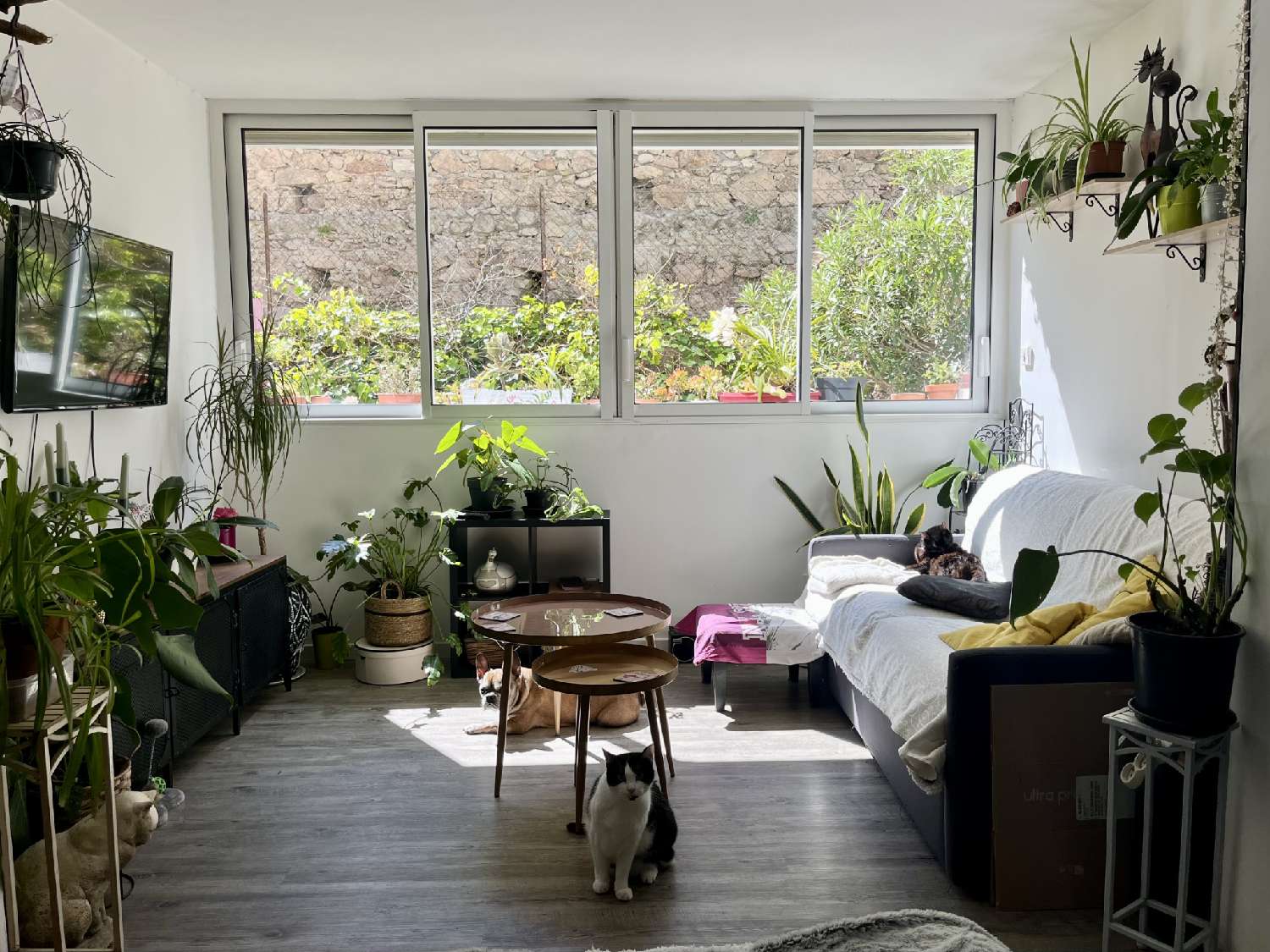  te koop appartement Sète Hérault 1