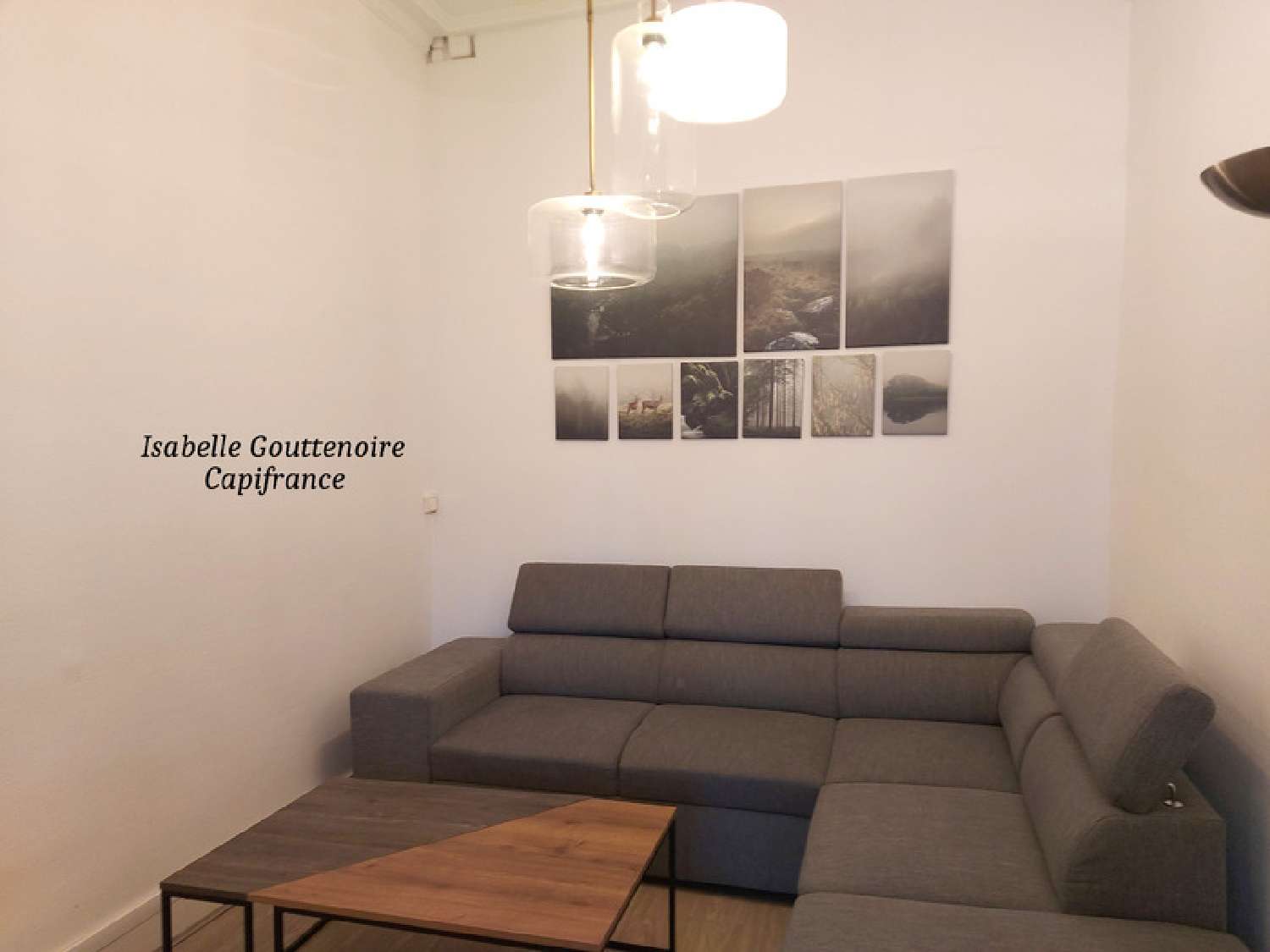 for sale apartment Tassin-la-Demi-Lune Rhône 2