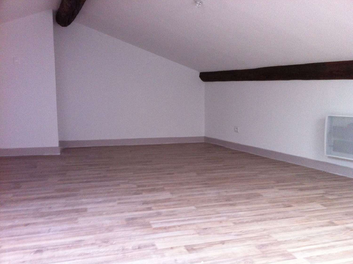  te koop appartement Thiers Puy-de-Dôme 4