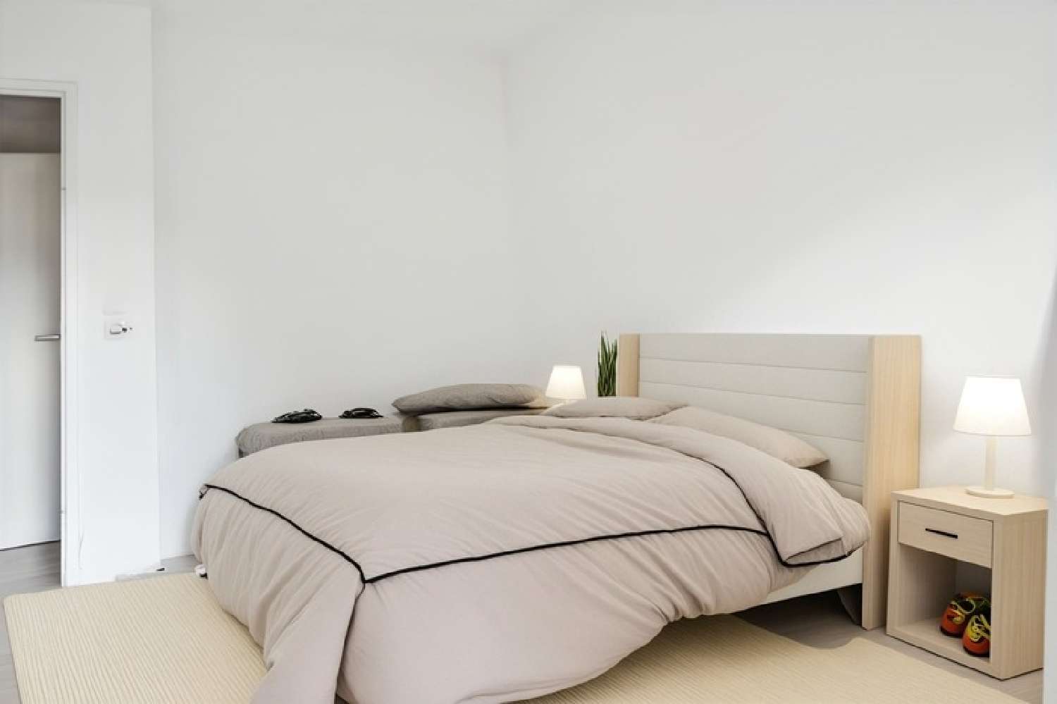  te koop appartement Toulouse 31200 Haute-Garonne 5