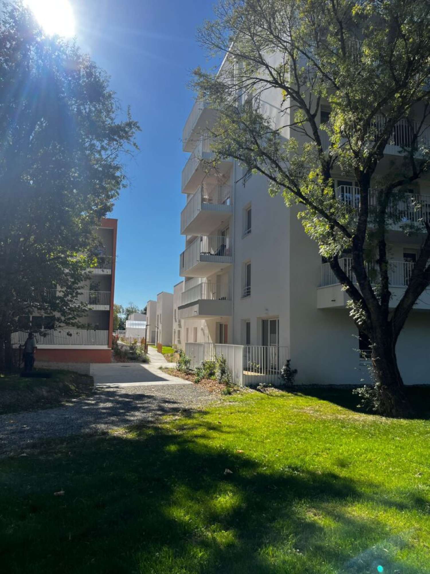  te koop appartement Toulouse 31400 Haute-Garonne 2