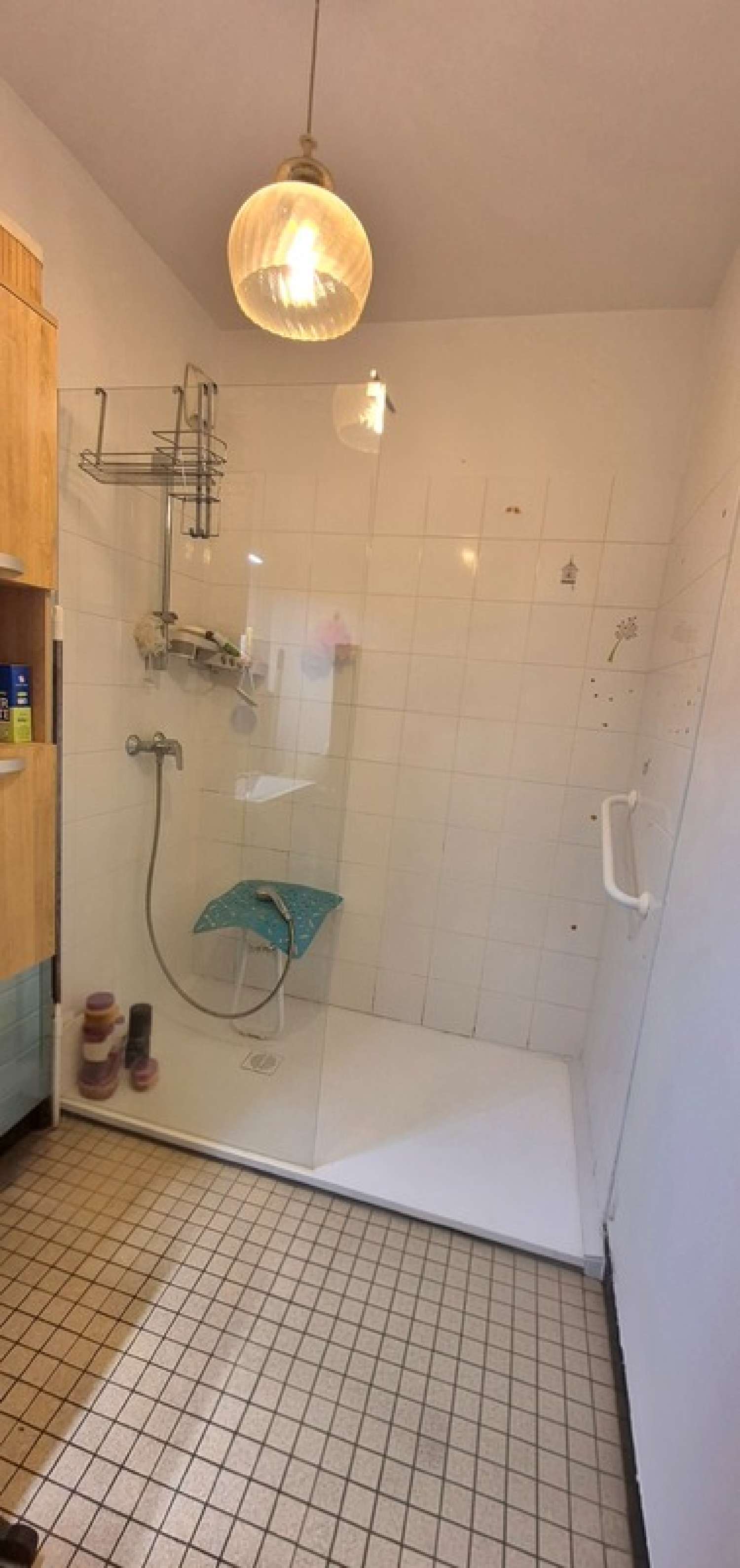  for sale apartment Villeurbanne Rhône 6