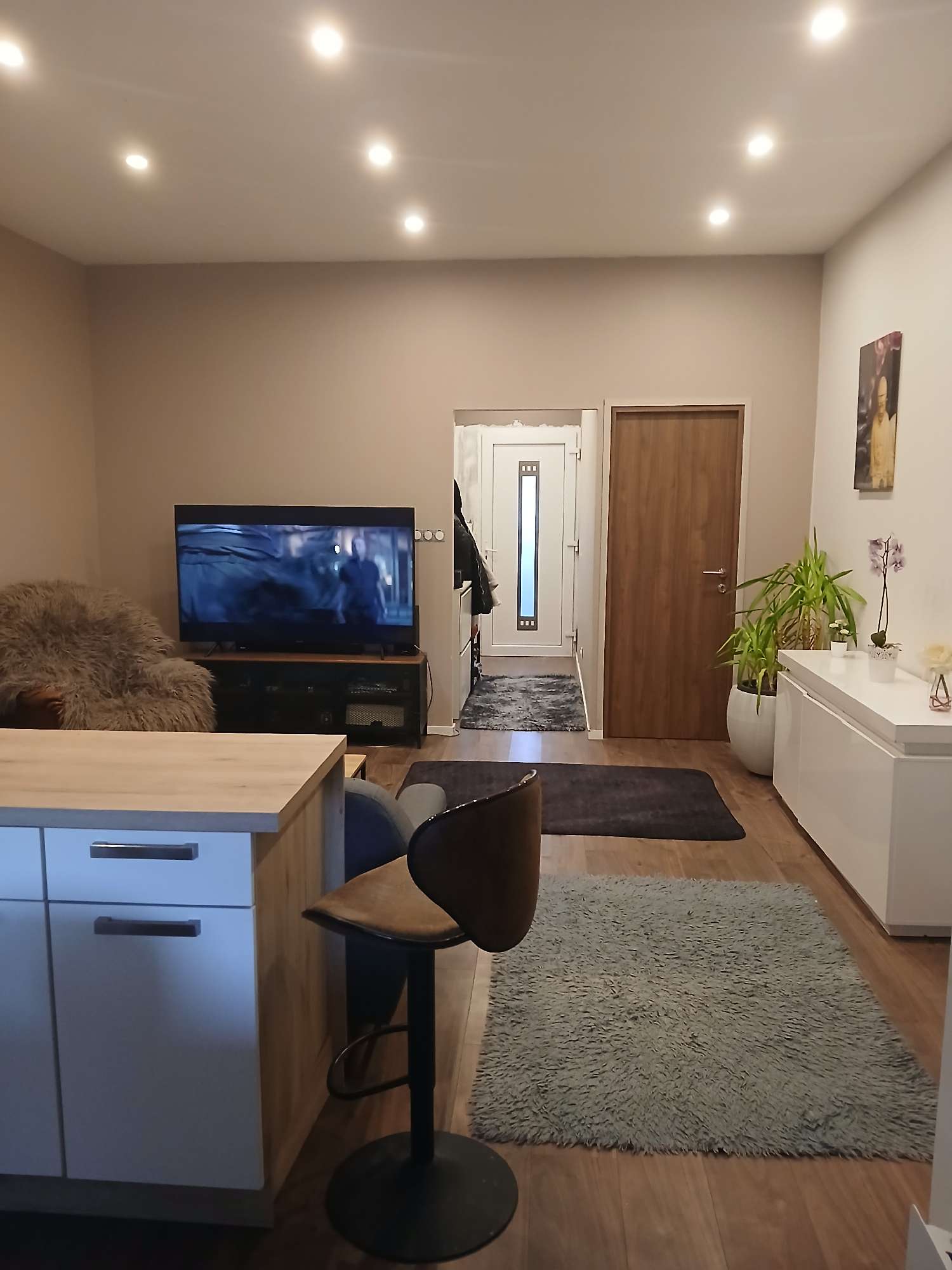  te koop appartement Vonnas Ain 2