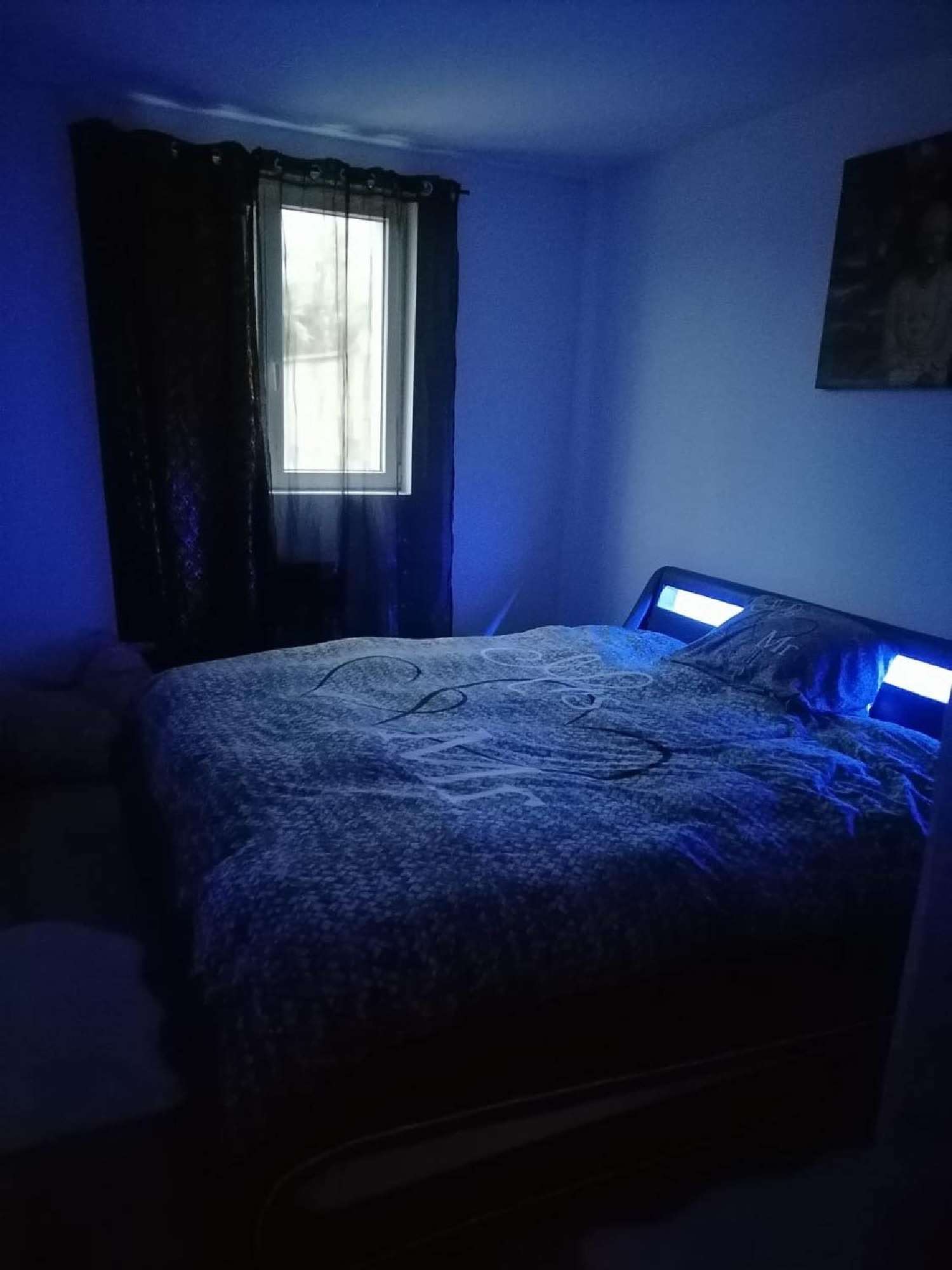  te koop appartement Vonnas Ain 4