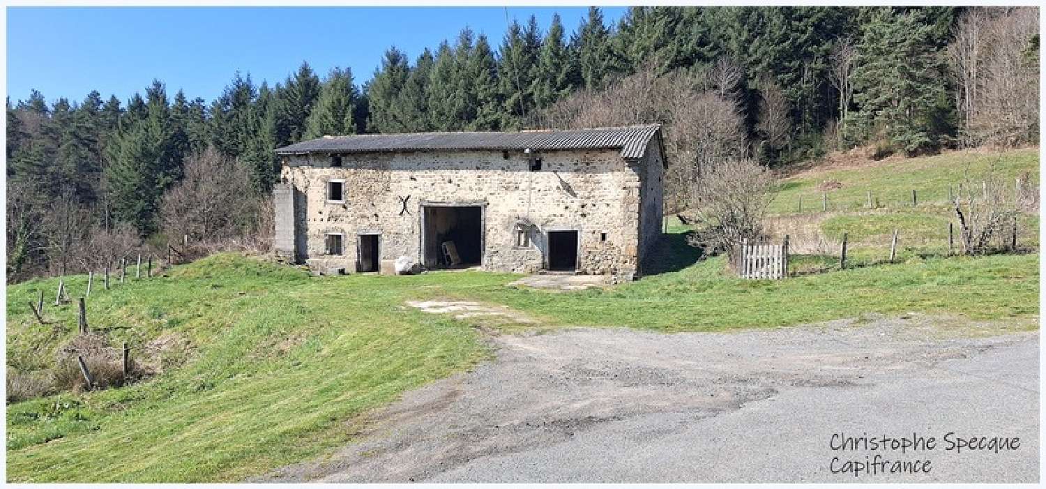  for sale barn Chabreloche Puy-de-Dôme 2