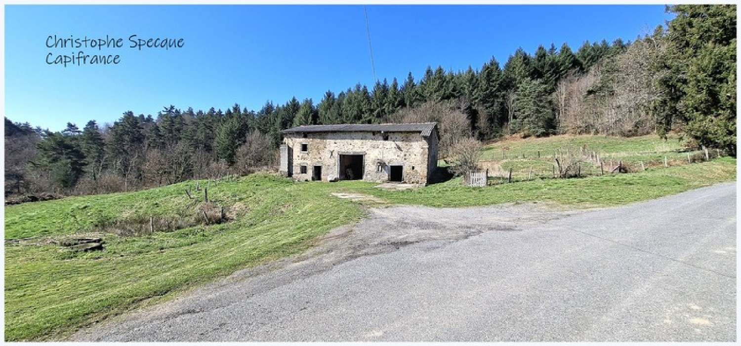  for sale barn Chabreloche Puy-de-Dôme 3