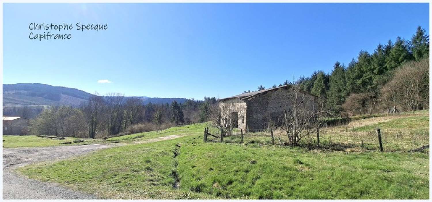  for sale barn Chabreloche Puy-de-Dôme 4