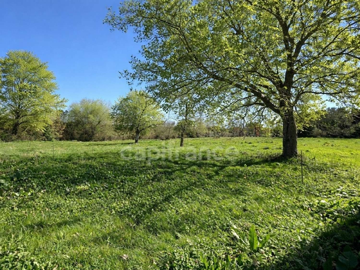  te koop schuur Chevanceaux Charente-Maritime 2