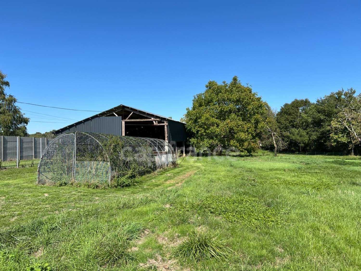  te koop schuur Chevanceaux Charente-Maritime 4