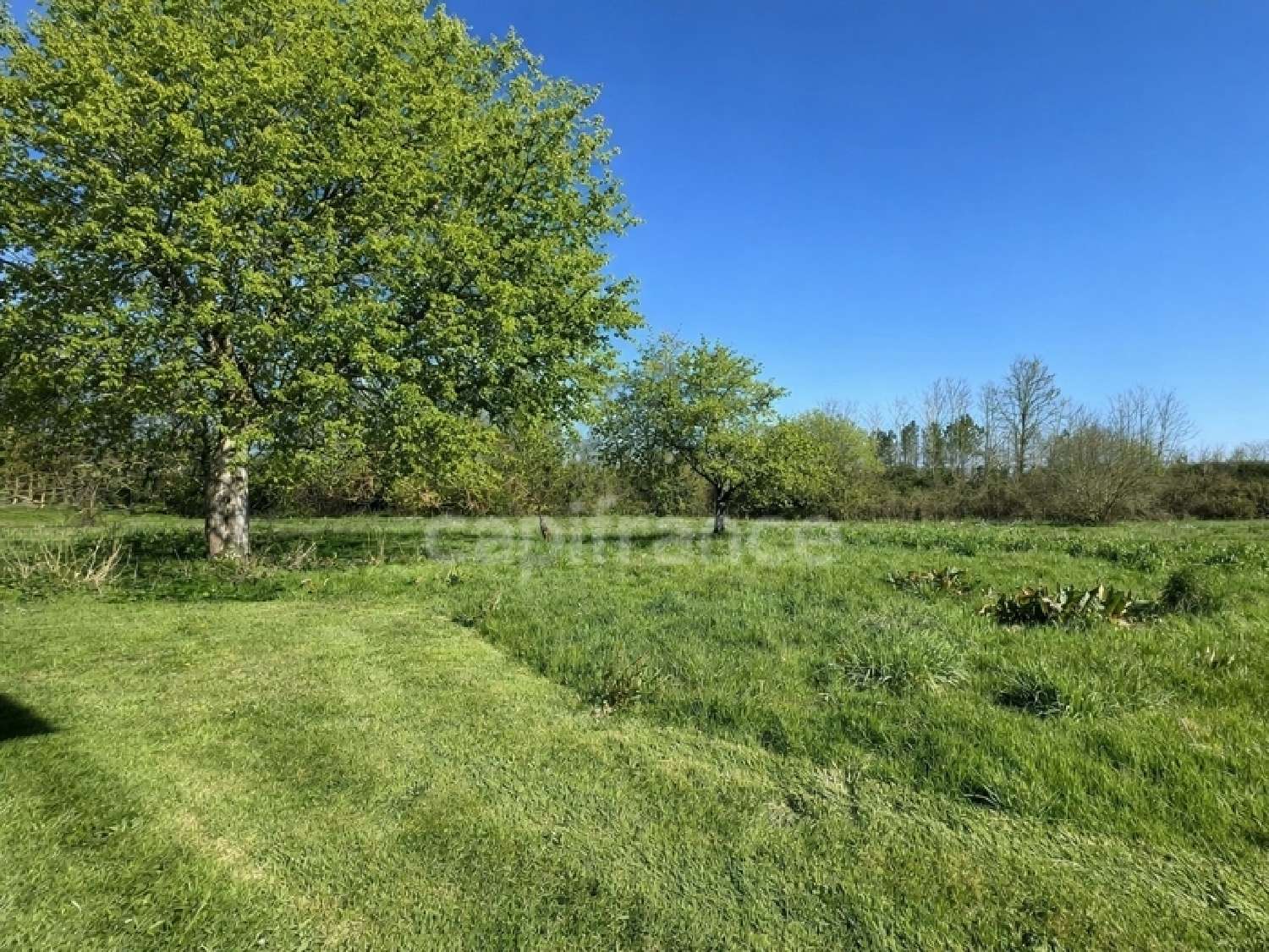  te koop schuur Chevanceaux Charente-Maritime 5