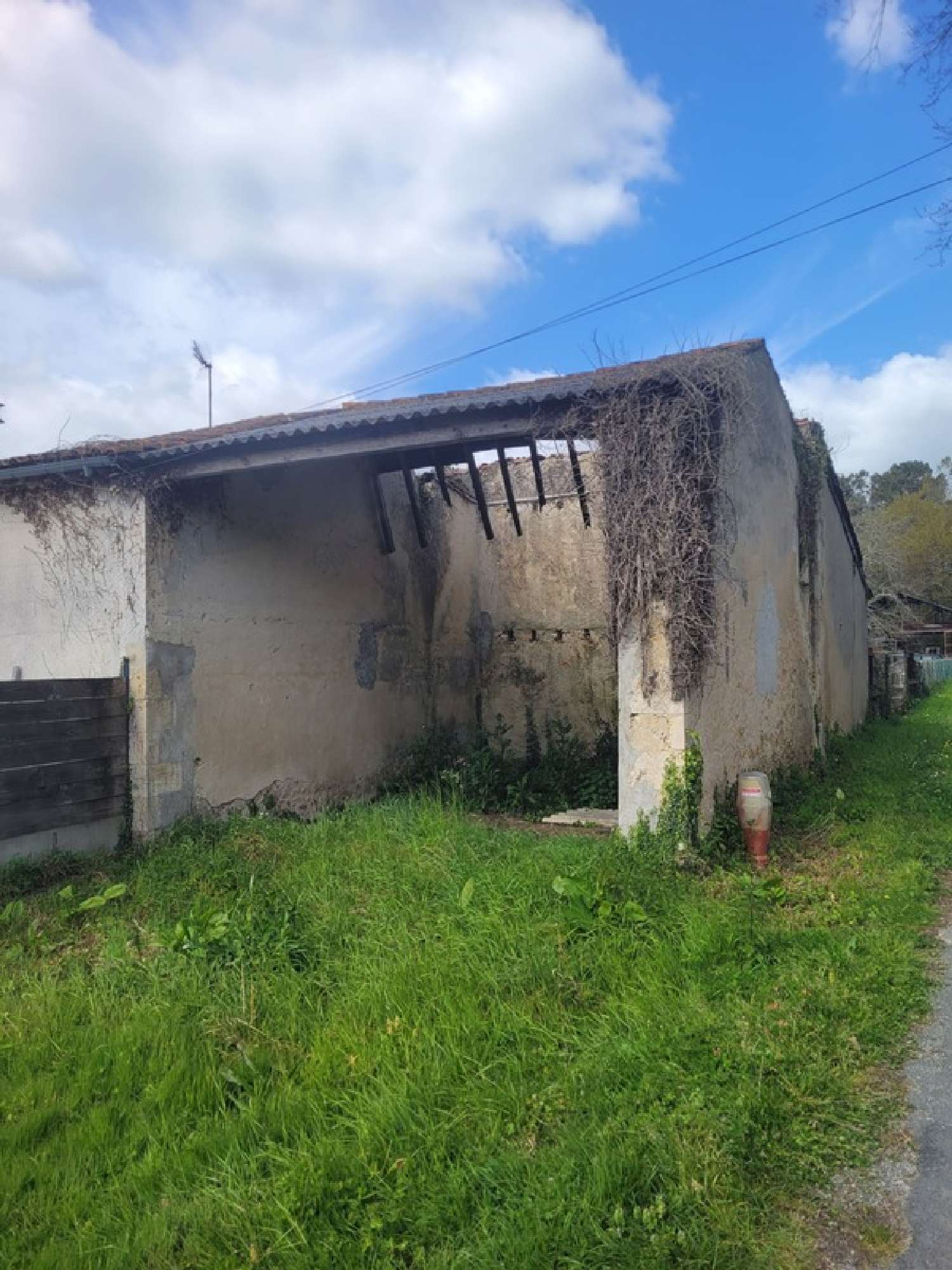 te koop schuur Cissac-Médoc Gironde 3