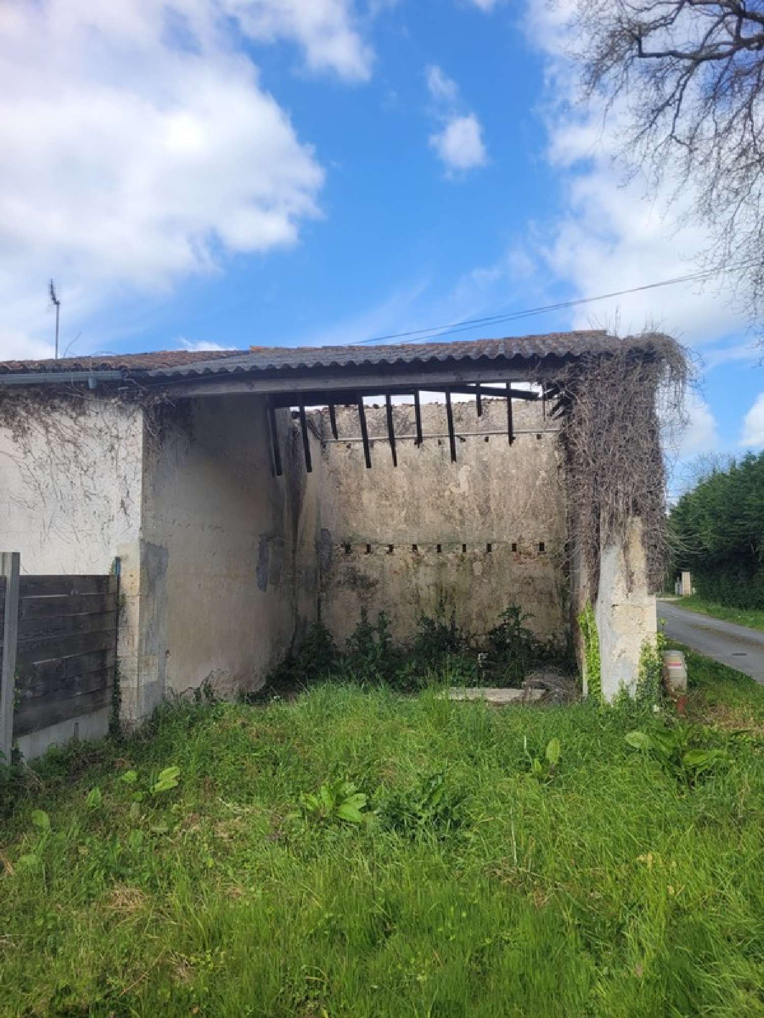 te koop schuur Cissac-Médoc Gironde 4