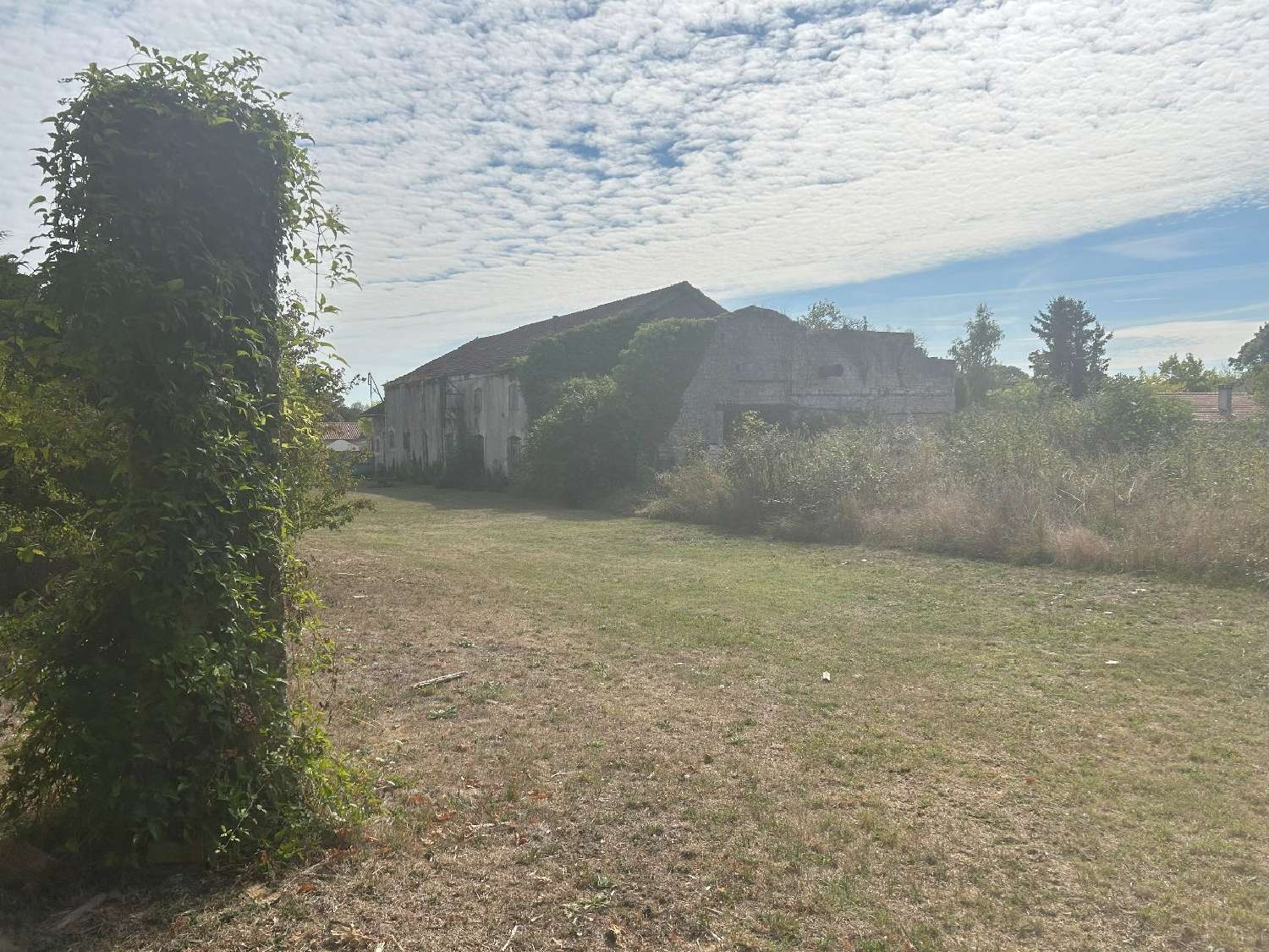  for sale building Port-d'Envaux Charente-Maritime 6