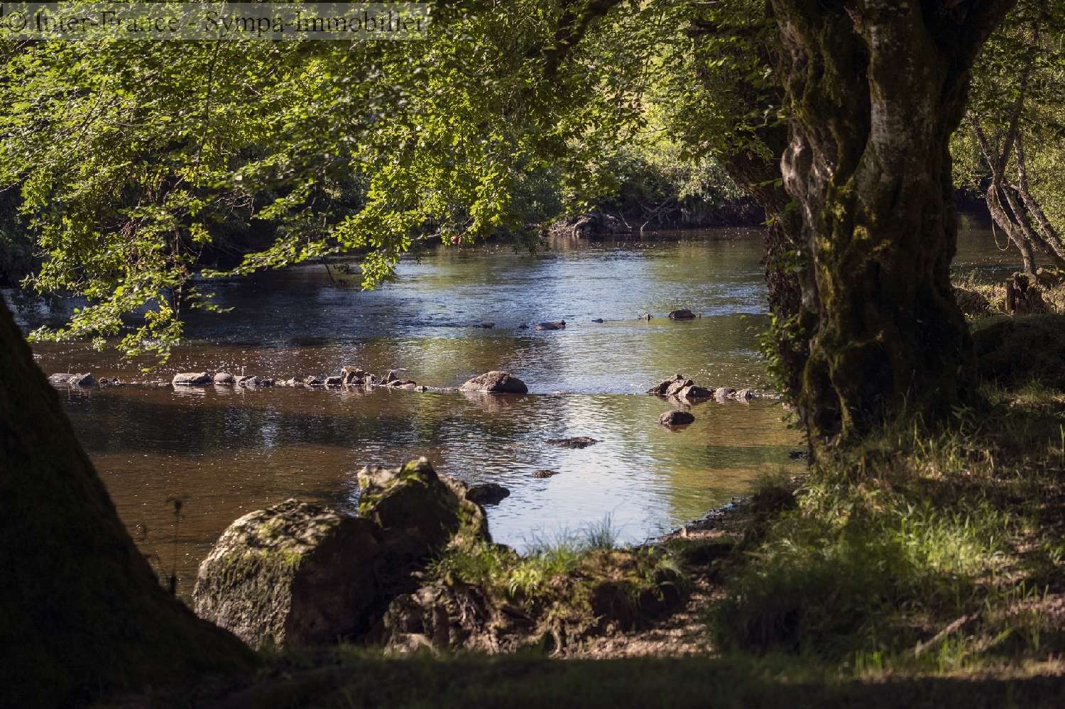  for sale camping Eyburie Corrèze 4