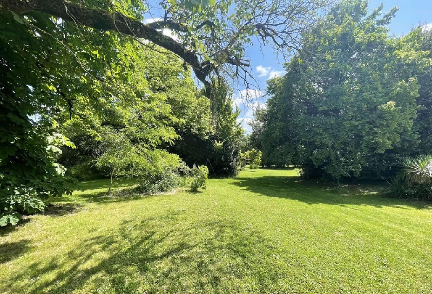  for sale castle Cognac Charente 4