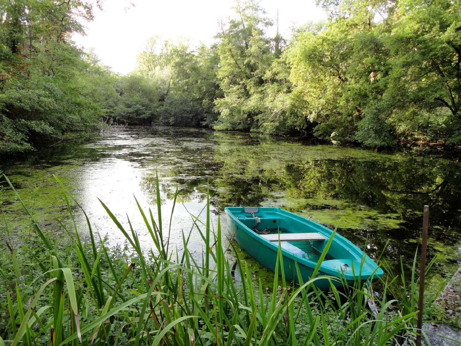  te koop kasteel Nérac Lot-et-Garonne 6