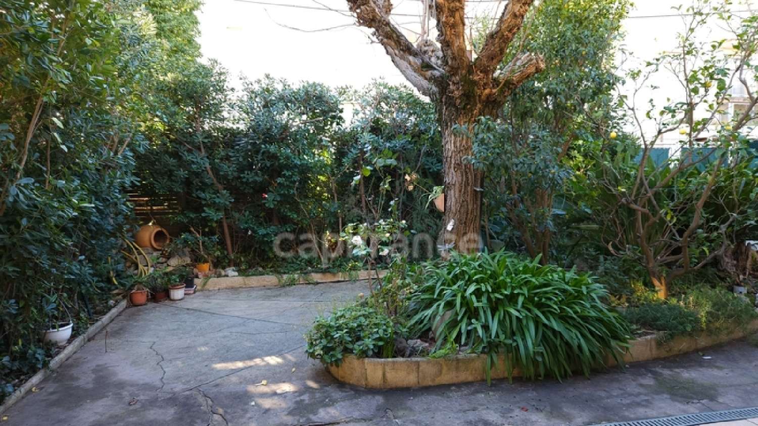  kaufen Stadthaus Cavalaire-sur-Mer Var 3