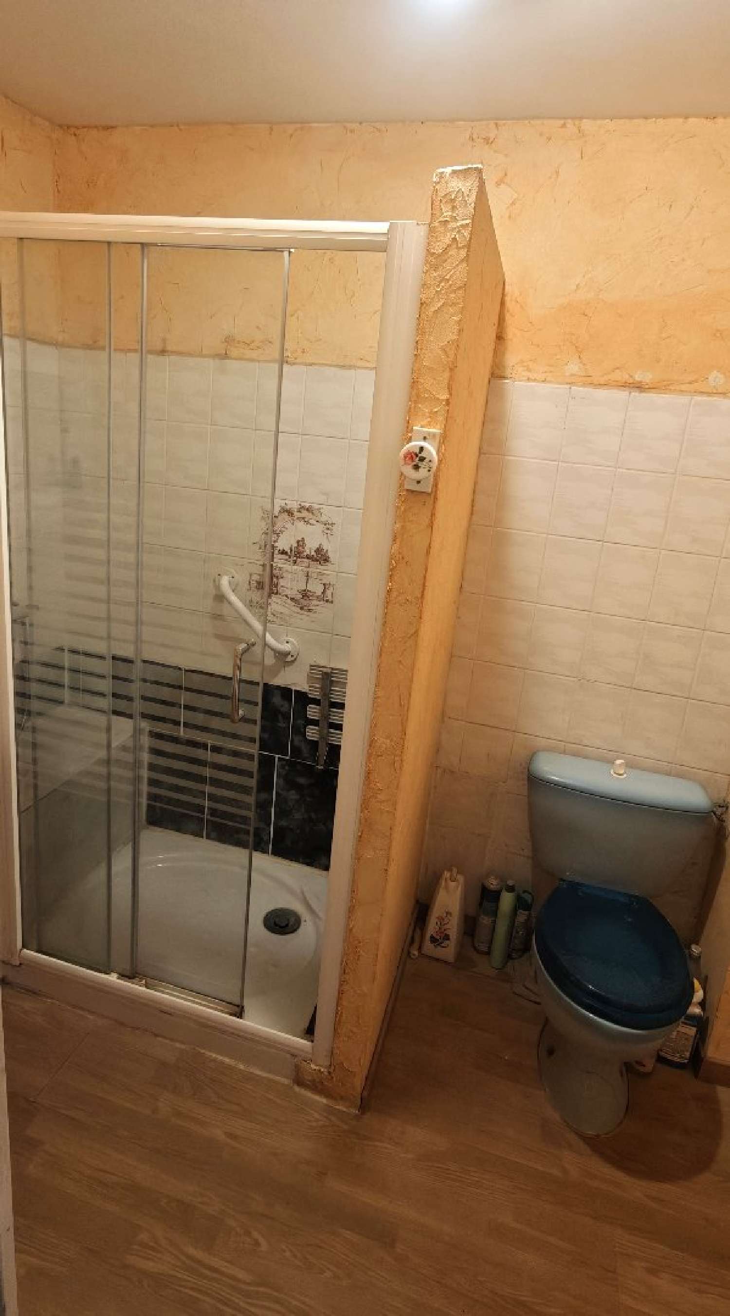  te koop stadshuis Viviez Aveyron 6