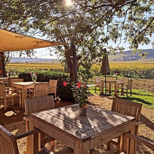 Puligny-Montrachet Côte-d'Or commerce foto 7312044