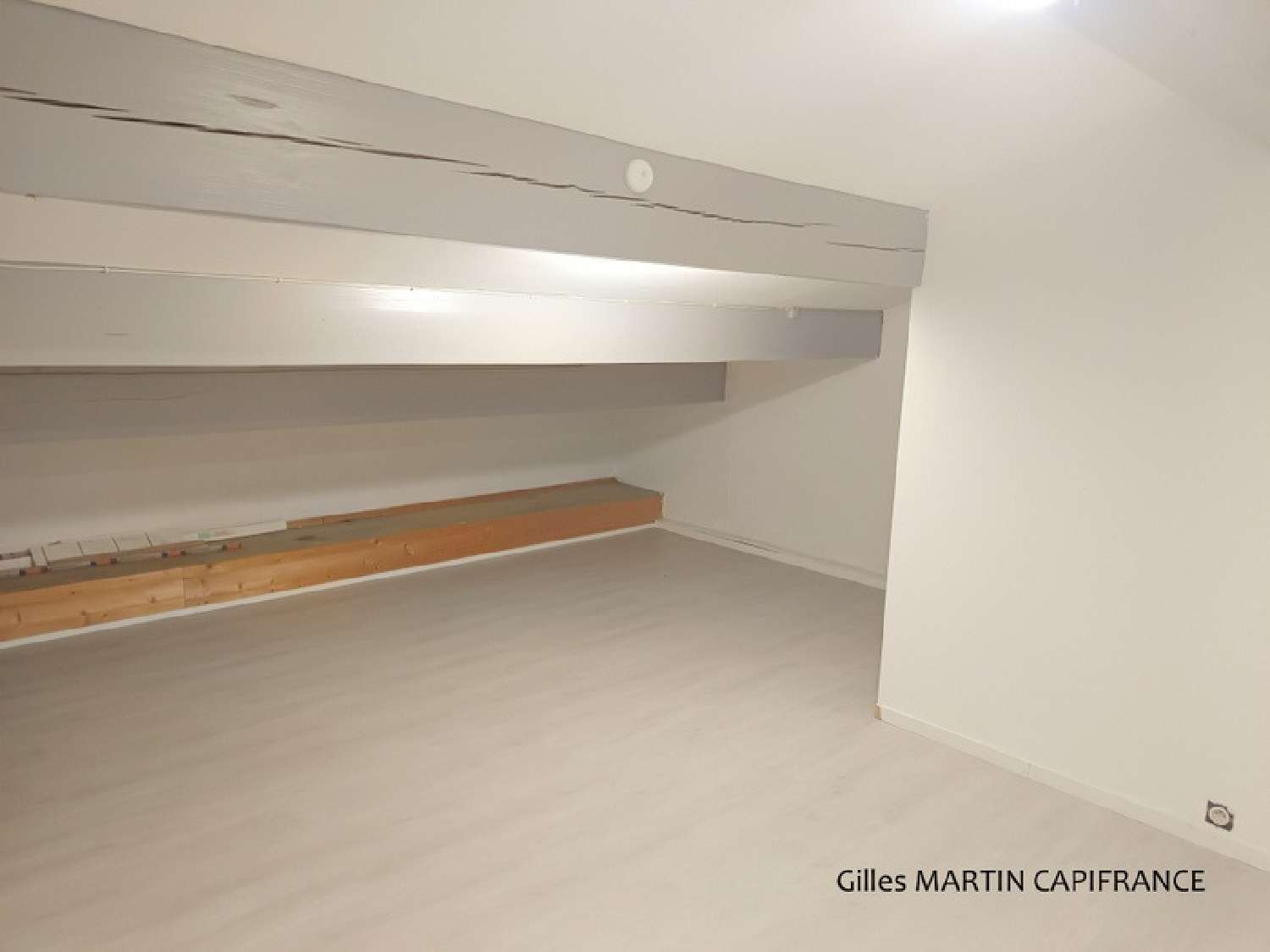 te koop bedrijfsruimte/ kantoor Sainte-Terre Gironde 6