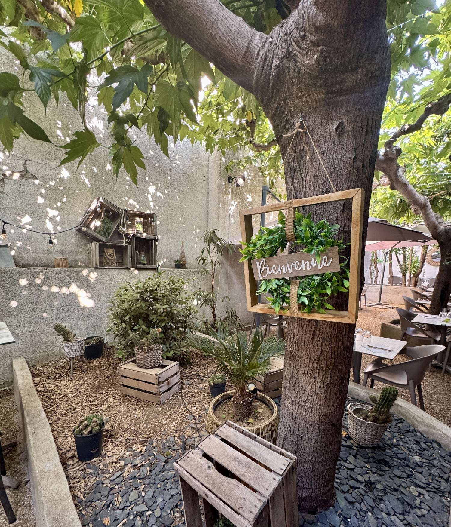  à vendre commerce Vergèze Gard 3