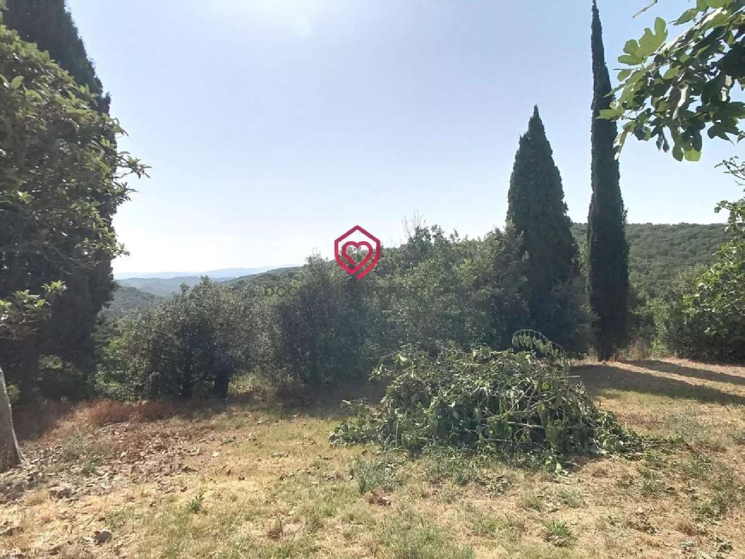  te koop landgoed Belvèze-du-Razès Aude 2