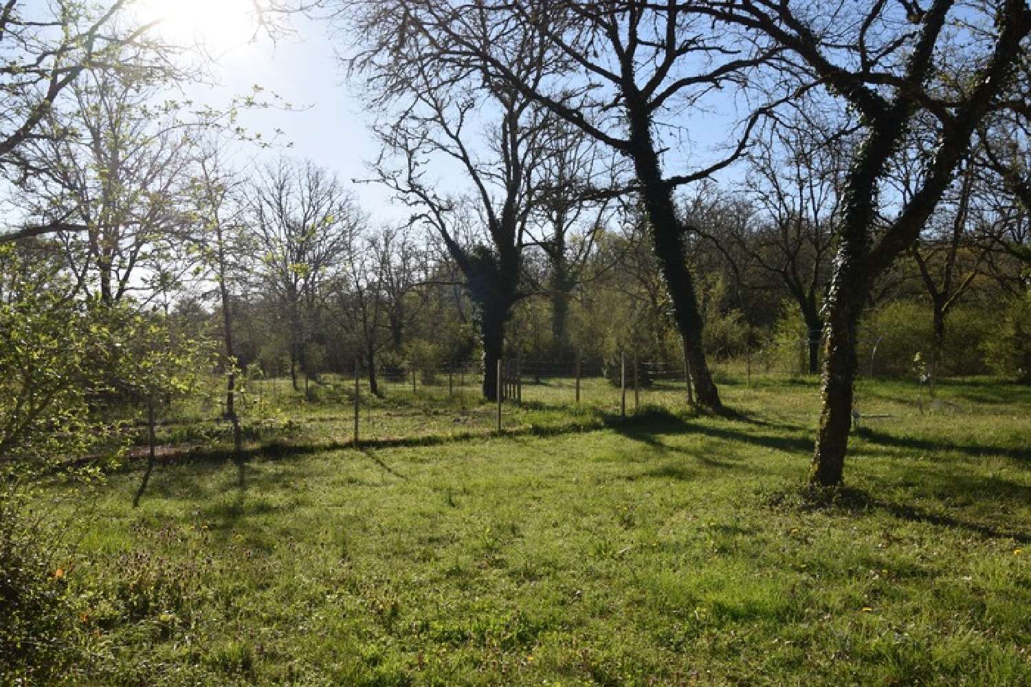  à vendre propriété Crégols Lot 4