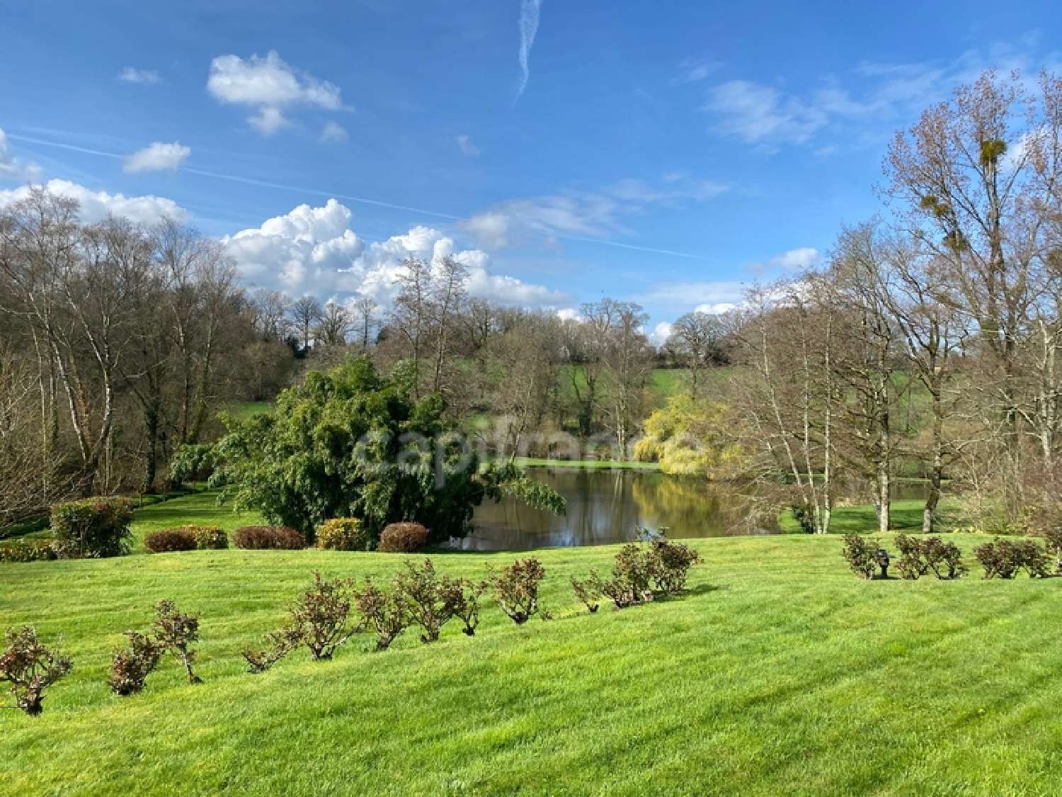  for sale estate Elven Morbihan 3