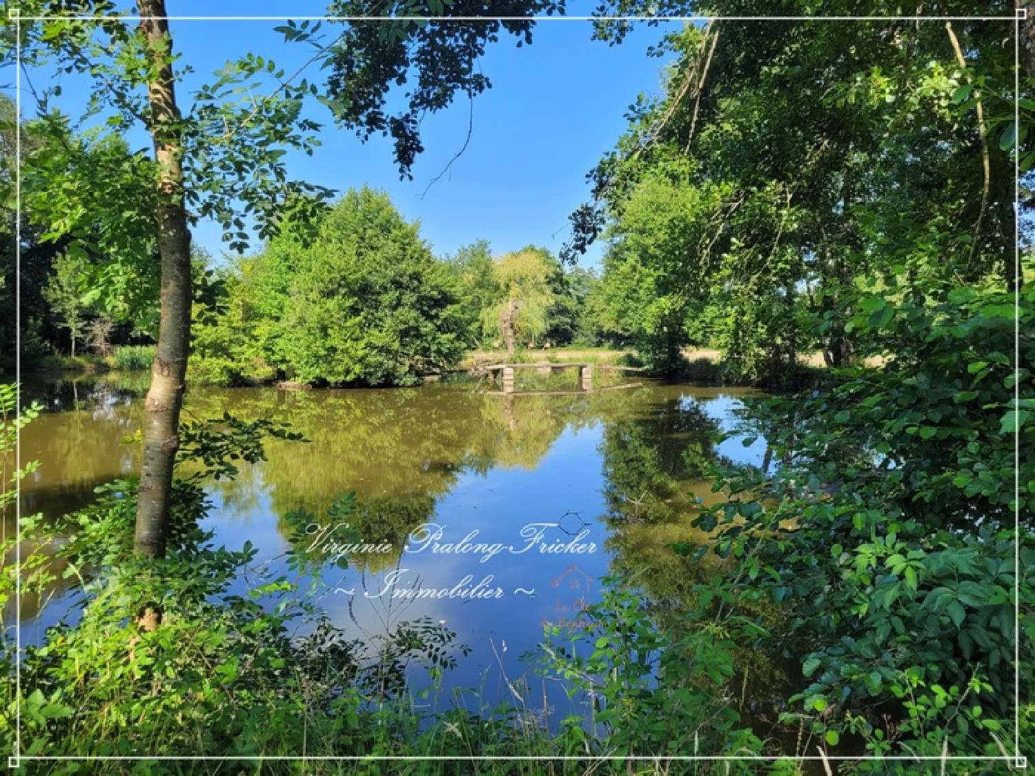  for sale estate Galgon Gironde 4