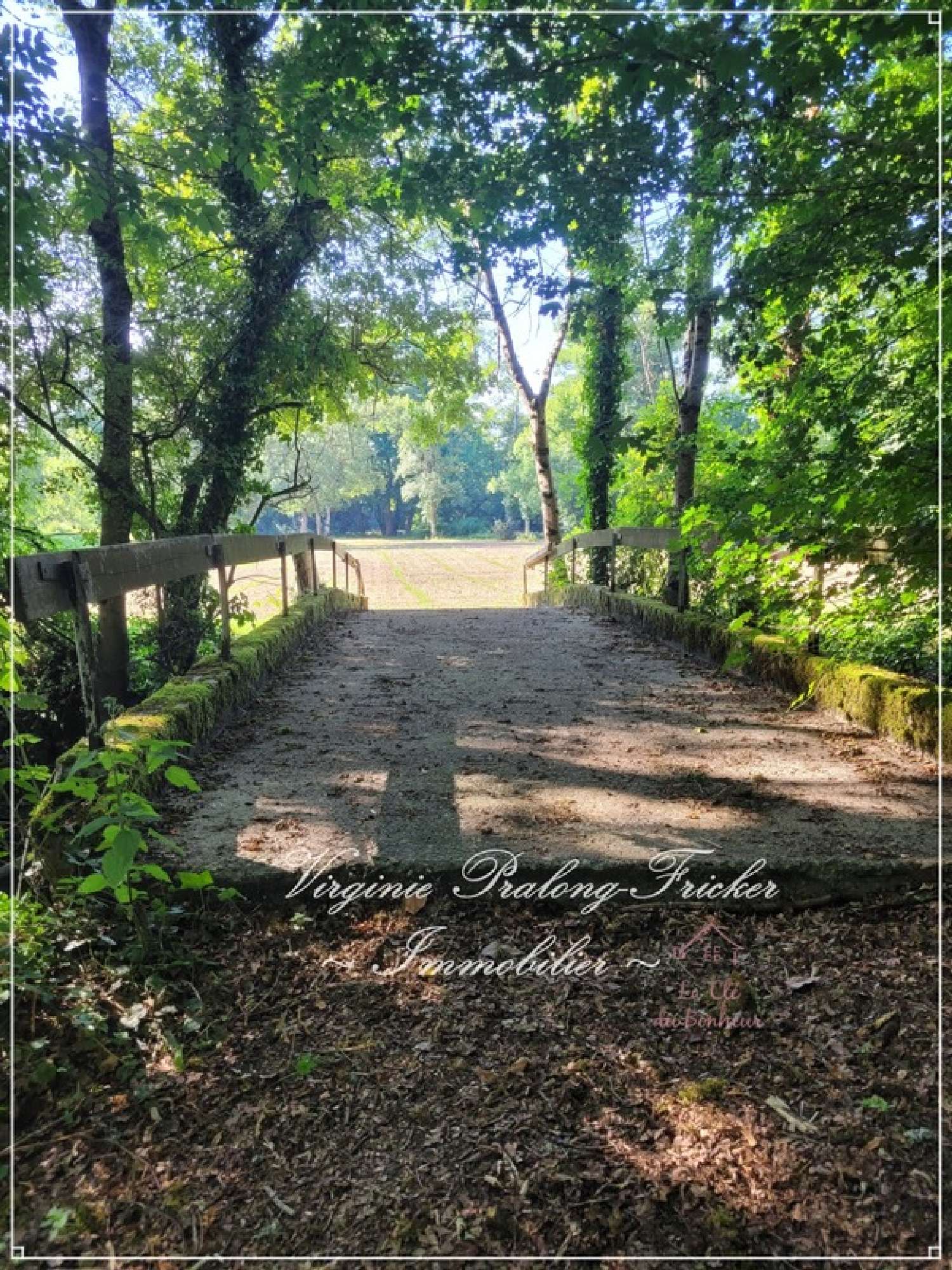  for sale estate Galgon Gironde 6