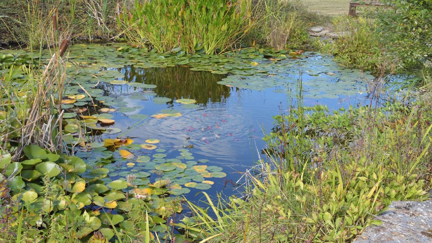  for sale estate Gourdon Lot 3