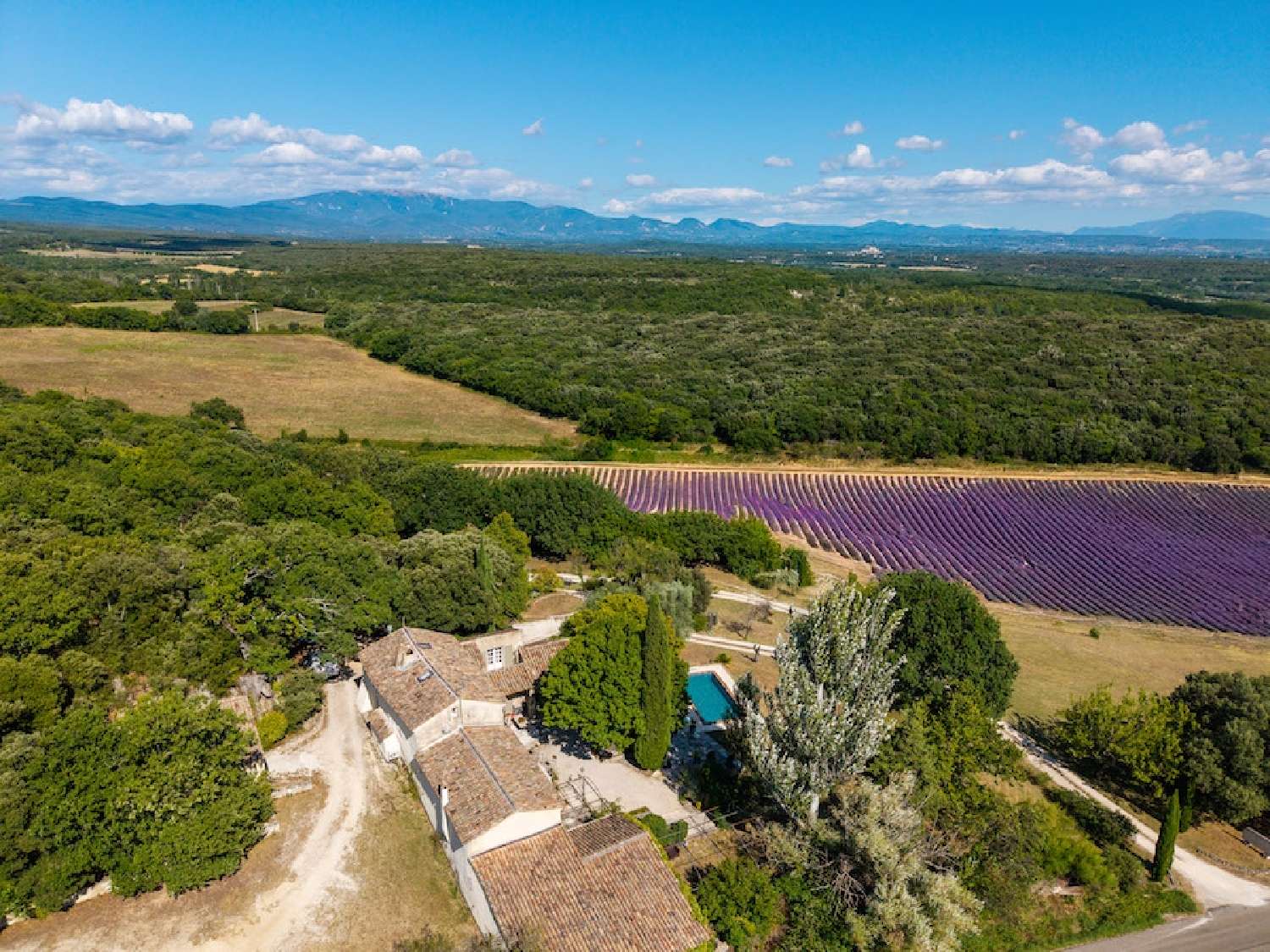  for sale estate Grignan Drôme 2