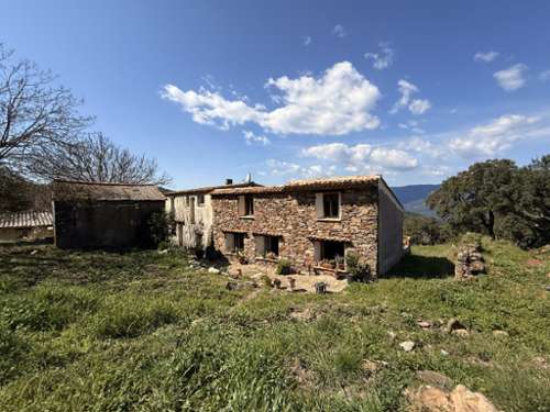 Le Lavandou Var Landgut Bild 7309558