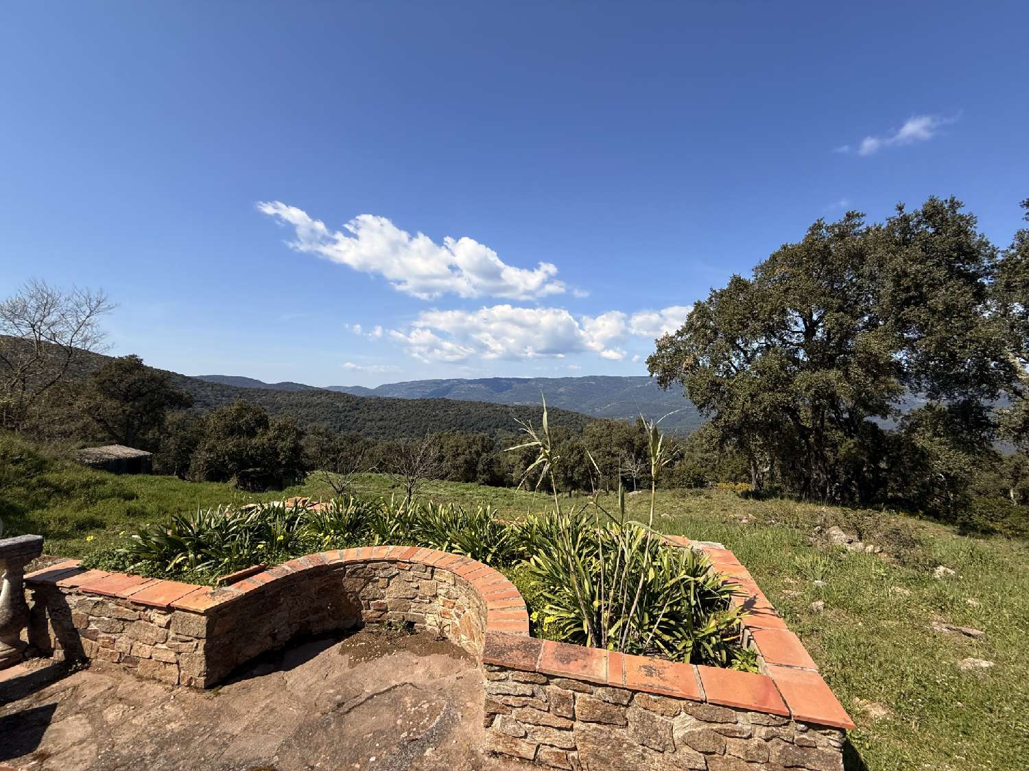  kaufen Landgut Le Lavandou Var 3