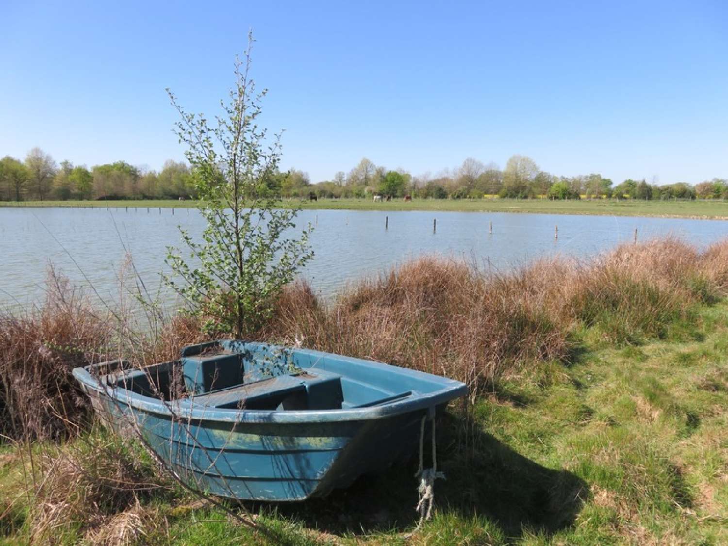  à vendre propriété Le Plantay Ain 6