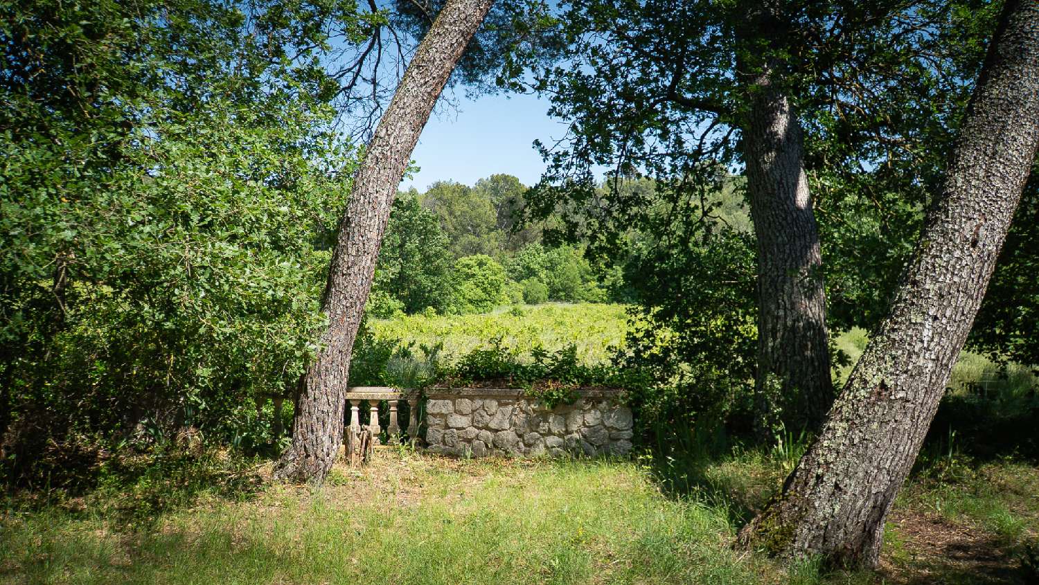  for sale estate Le Pontet Vaucluse 6