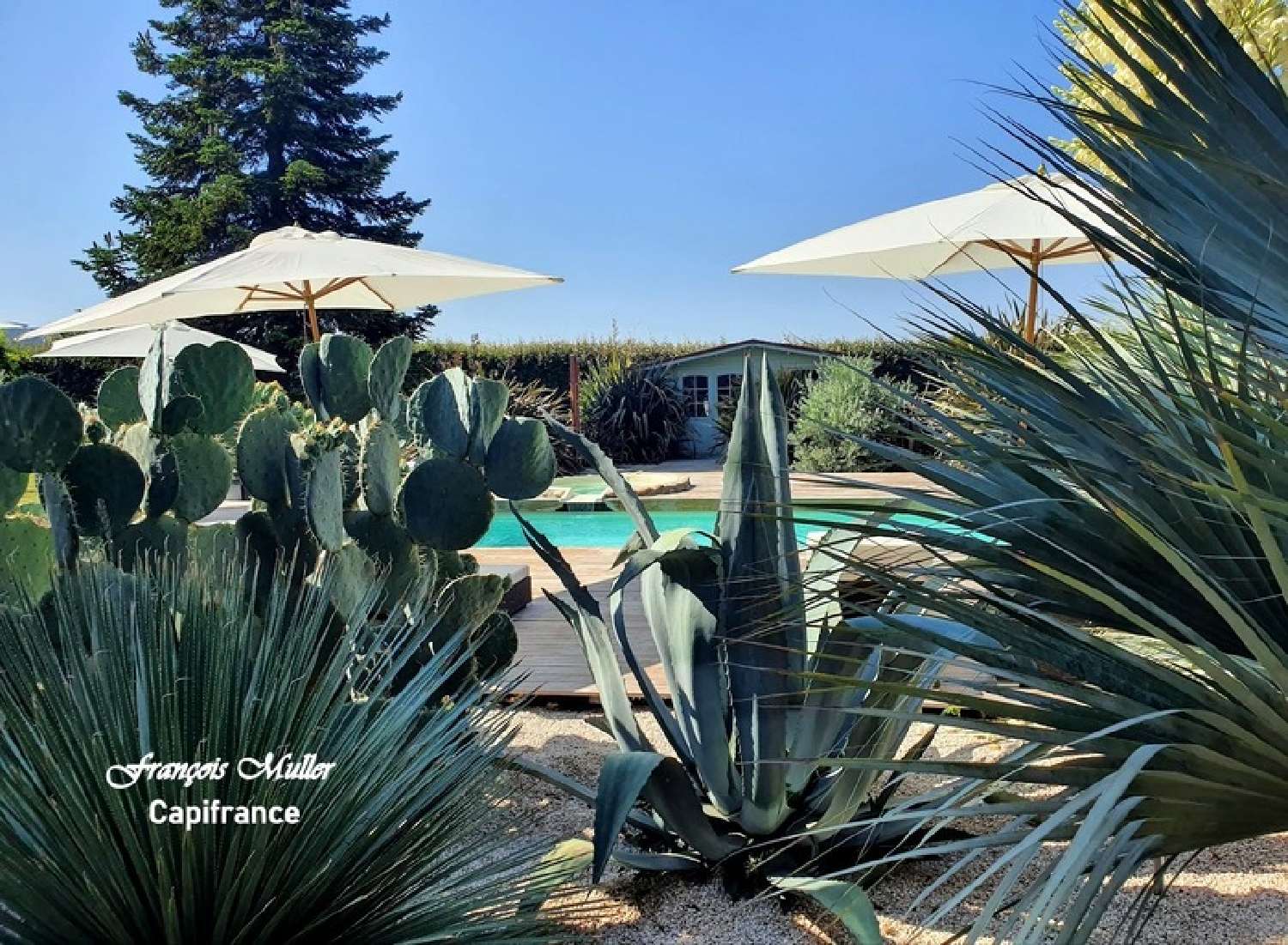  for sale estate Les Mées Alpes-de-Haute-Provence 4