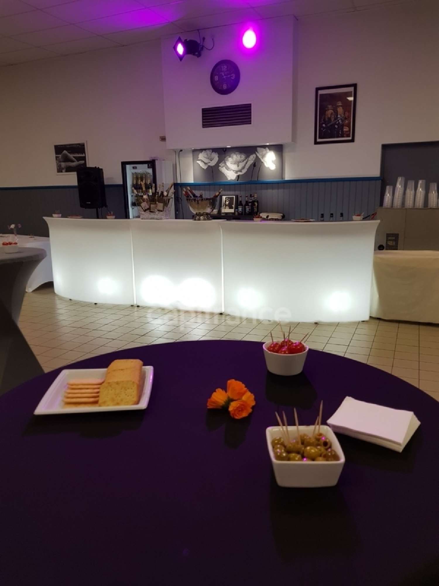  kaufen Landgut Montsalvy Cantal 7