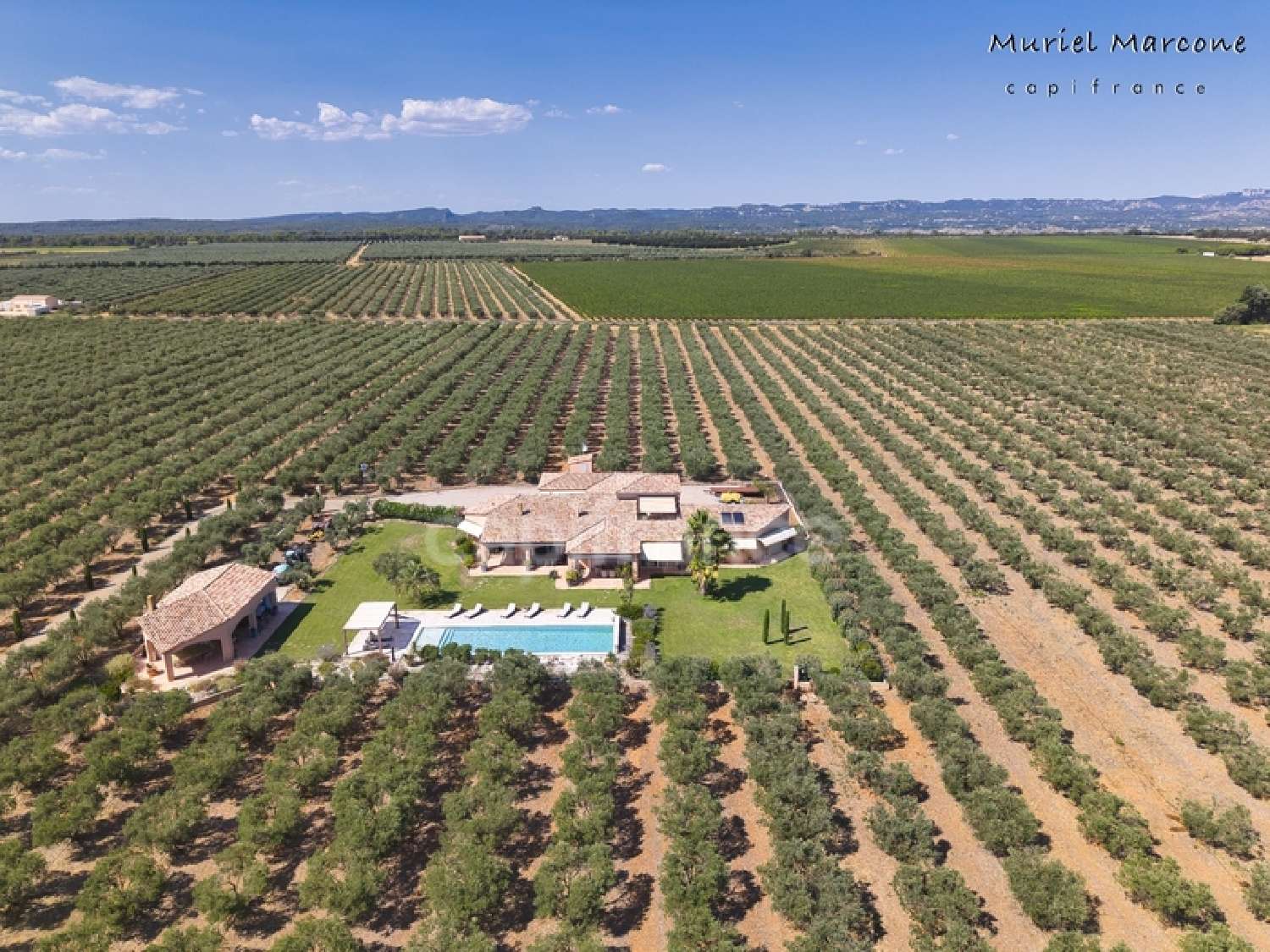  en venta finca rústica Moulès Bocas del Ródano 2