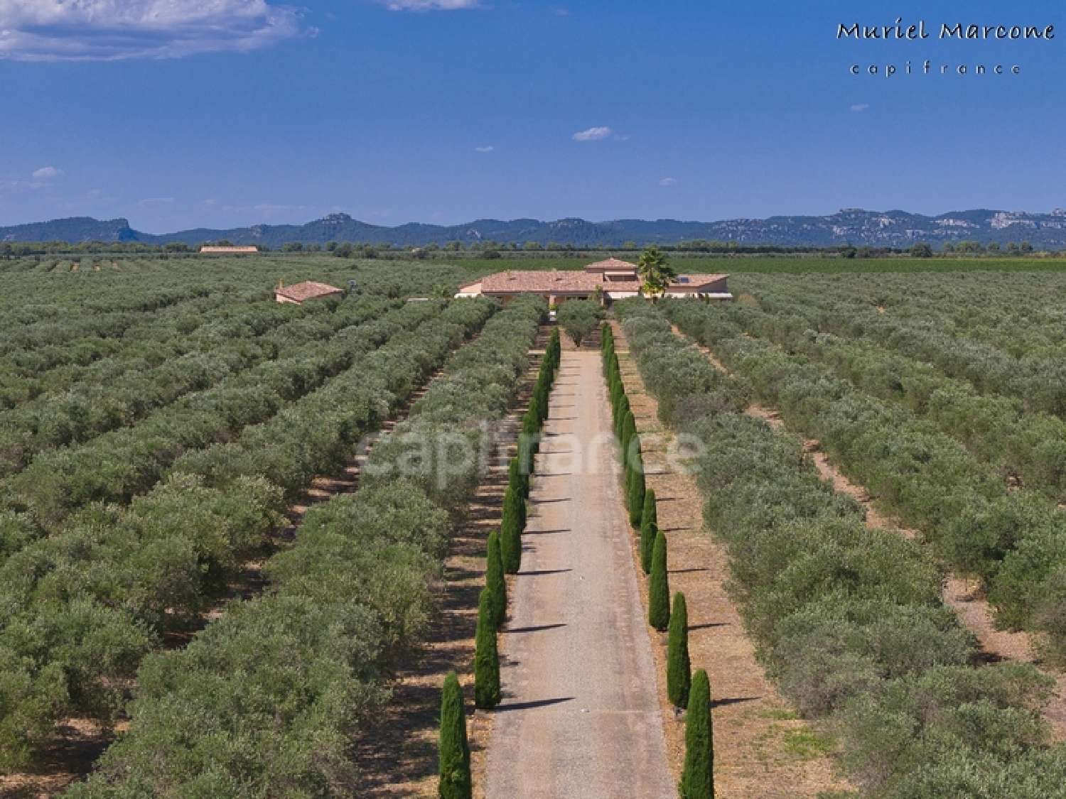  en venta finca rústica Moulès Bocas del Ródano 4