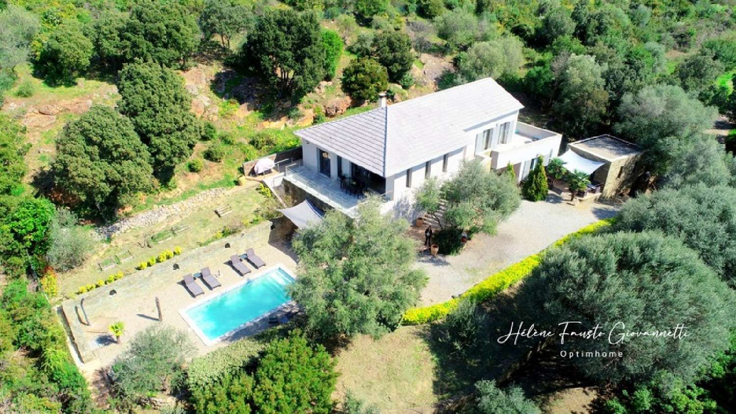  te koop landgoed Oletta Haute-Corse 1