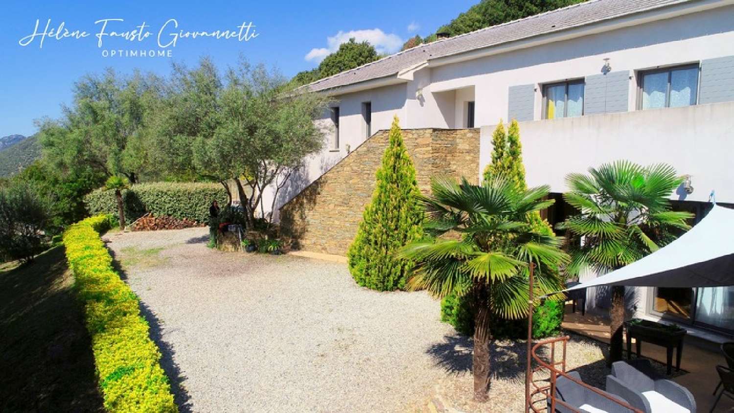  te koop landgoed Oletta Haute-Corse 4